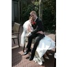 Sander Fase