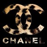 Chanel Brugmans
