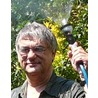 johan b 